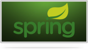 placeholder_video_spring_projects