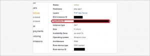 Instance ID