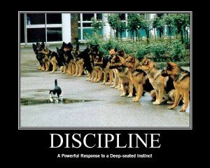 demotivationalDISCIPLINE_zps1e3eaf66