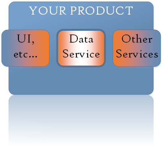 data-service-1