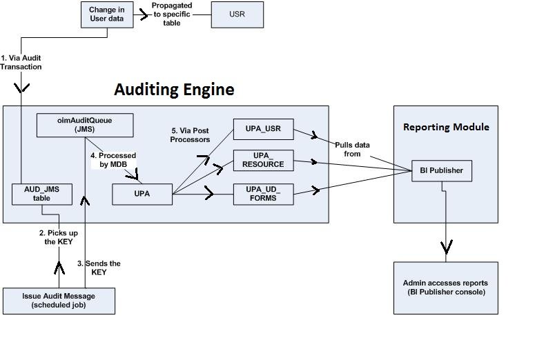 oim-auditing