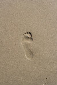 3911280619_cb9067d2ac_z_zps6a1995c1