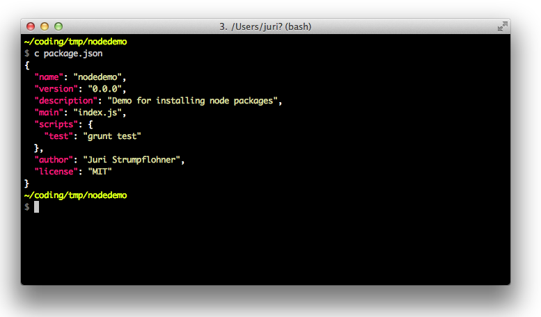 Example of a package.json file