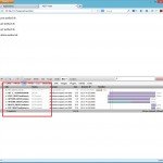Screen Shot: Firebug Net Tab