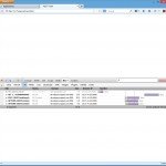 Screen Shot: Firebug Net Tab Result