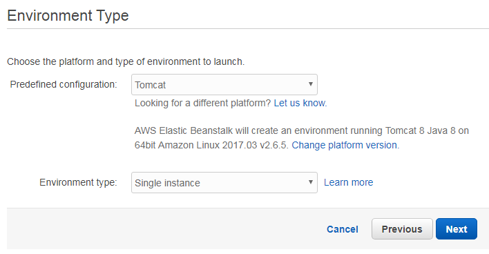 Amazon Elastic Beanstalk environment type