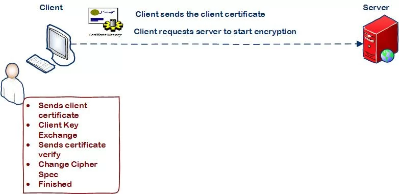 3 Mutual SSL Handshake