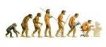 evolution