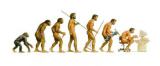 evolution