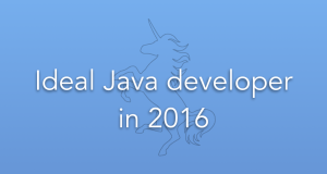 ideal-java-developer-2016