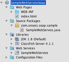 samplewebservice_project
