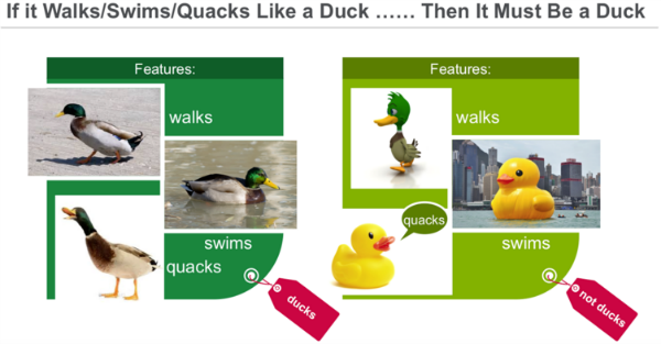 maching-learning-ducks