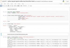 Python Jupyter Notebook