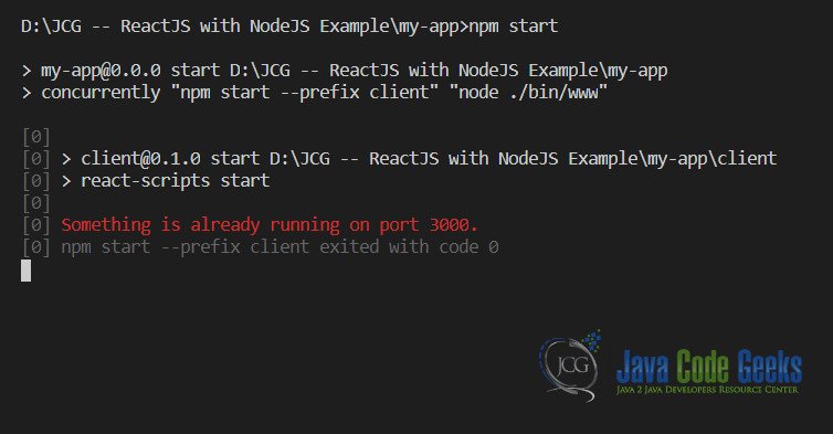 ReactJS with NodeJS - Project Run Error