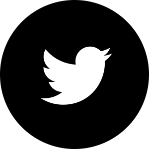 twitter logo