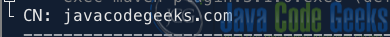 Fig 1: Output from using Java LDAP API to extract common name from an x509 certificate.