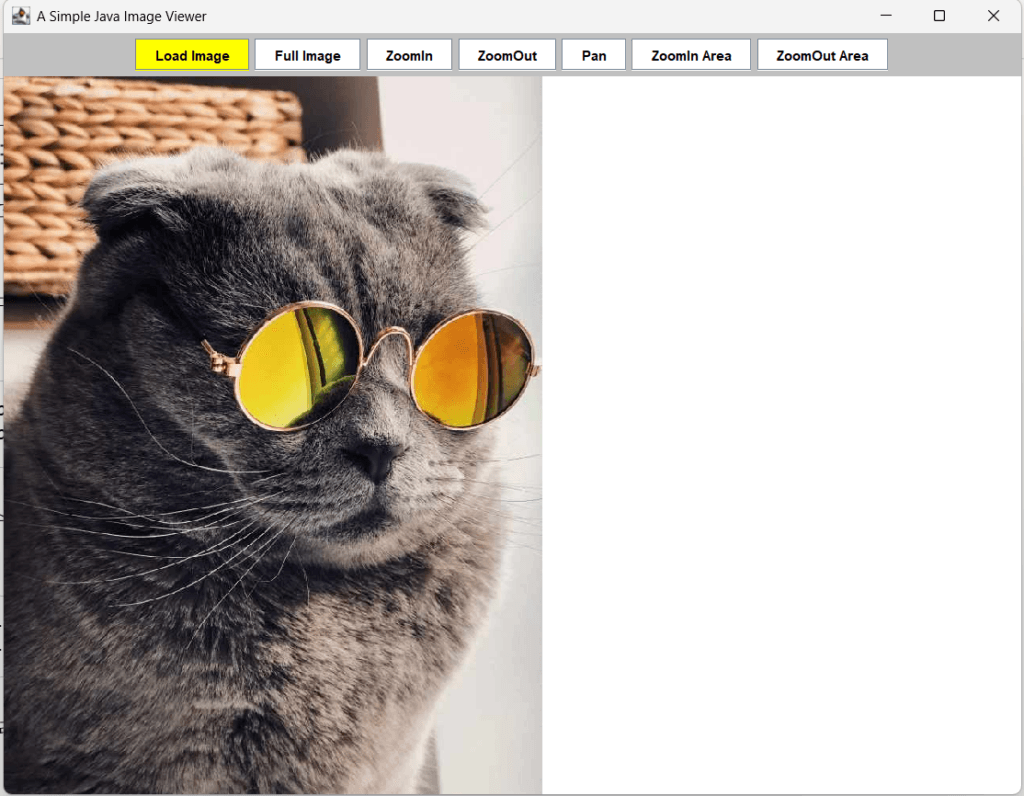 Figure 2. The Cat image before adjusting the offset