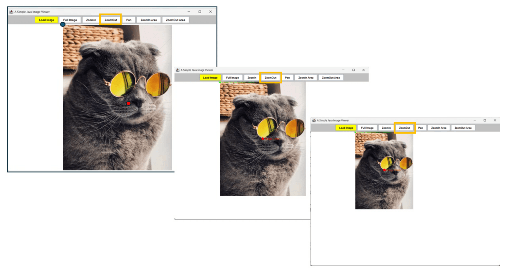Figure 4. The cat image with no zoom in/out before offset value.
