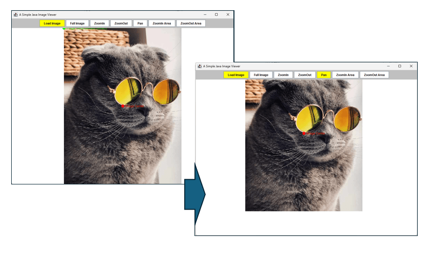 Figure 6.1 Panning the cat image.