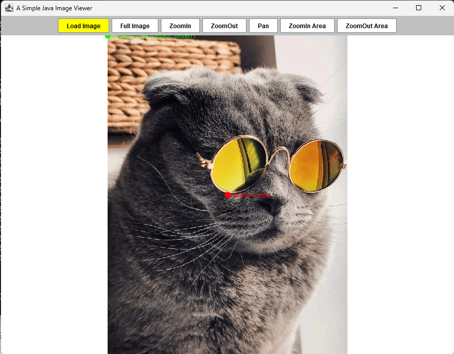 Figure 5.1 The can image viewer with zoom in and out